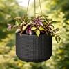 Black hanging flowerpot for interiors and balconies