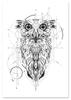 Poster Portrait Owl Geometry