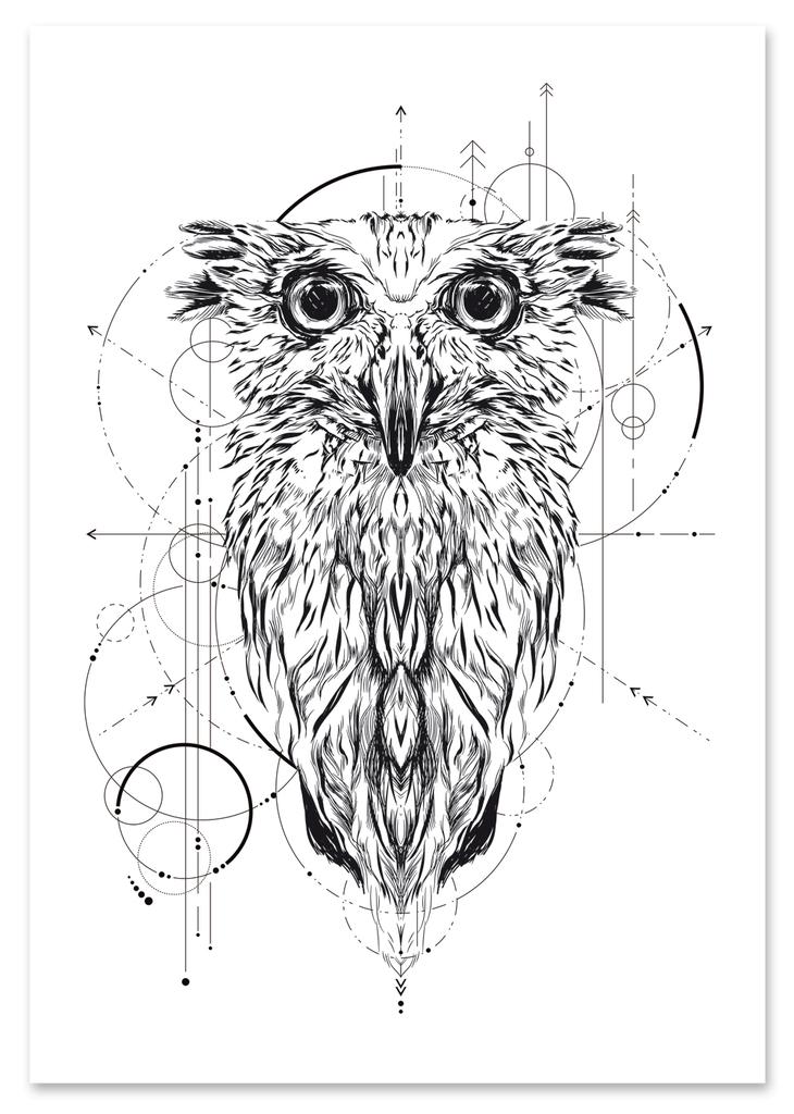 Poster Portrait Owl Geometry