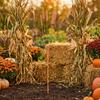 Садовый кол 'Колос пшеницы', Металлическая ветряная подвеска 'Колос пшеницы', Рустикальная скульптура растения, Садовый кол для украшения газона, патио, цветочных клумб