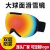 Double-Layer Anti-Fog Ski Goggles Adults Windproof UV-Protective Scratch-Resistant PC Lens Fits Over Prescription Glasses