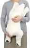 Carolata Polar Bear Plush Toy Realistic Bear Animal Toy Doll Gift Present Birthday Christmas Present (Large/Nestling Series/Soft Touch) (Twice Tested)
