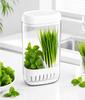 Hydroponic Herb Garden Container for Green Onions and Cilantro - Keeping Growing Box for Kitchen Countertop