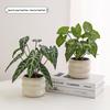 Nordic Small Potted Plant Decor - Indoor Bonsai & Bionic Greenery for Office or Living Room.