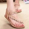 Foreign Trade Bohemian Sandals Women's Shoes Clip On Feet Summer New Style Clip On Toe Flower Flat Shoes Flat Heel