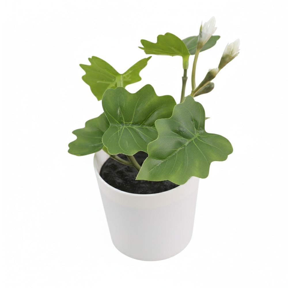 Green Green Plant Potted White Flowerpot Simulation Plant Potted Creative Desktop Ornament Gift