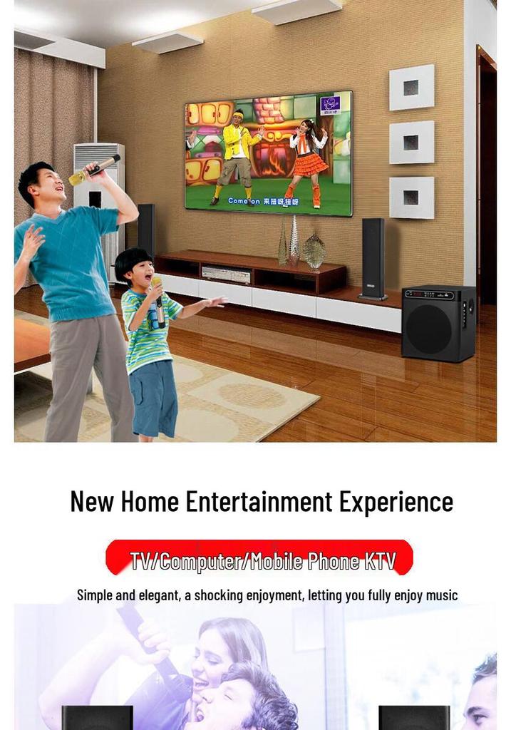 Bluetooth KTV-колонка Qisheng 2.1 с супербасами для настольного компьютера и домашнего использования