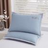 Ice Silk Pillowcase with Pillow Core - Washable, Cooling, 48x74cm, Class A, Adult Summer Set