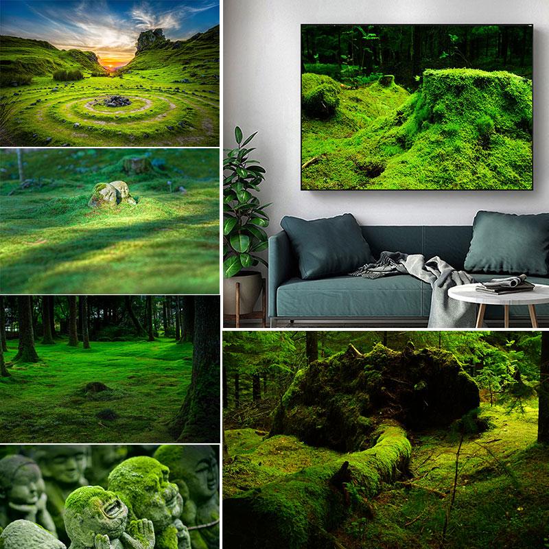 Натуральный зеленый лес свежий мох холст картины настенное искусство зеленое дерево растение искусство постеры и принты для декора гостиной без рамки