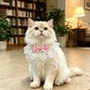Кружевная слюнявчик-кошка с бантом и плюшевыми игрушками
