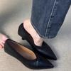 Модные новые женские туфли-лодочки 2024 года, туфли-лодочки с острым носком, туфли на каблуке-рюмочке, офисная рабочая обувь для женщин, черная, весна-осень