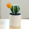 Mini Bonsai Non-Fading Landscaping Plastic Simulation Succulent Plants Table Decoration