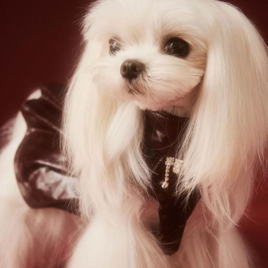 Платье для маленькой собаки, платье принцессы из искусственной кожи без рукавов, черная юбка-пачка для девочек и собак, наряды для мотоциклистов на день рождения и свадьбу