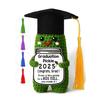 Crochet Graduation Pickle with Tassels Positive Card Handmade Knitting 2025 Graduates Cucumber Doll Stress Relief Toy Desktop Decoration Ornament