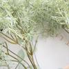 6Pcs Artificial Plants Rosemary Ferns Fake Green Plants Shrubs Home Table Office Room Desktop Decoration