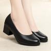 Single Shoes Women's 2 New Spring Square Head Thick Heel Medium Heel Women's Shoes Versatile Professional Work Black High Heels