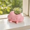 Cloud Shaped Storage Holder, Cute Smiling Face Decor, Multi-Functional Organizer for Pen Succulents & Makeup Brush, Compact Ornament for Desktop Decor