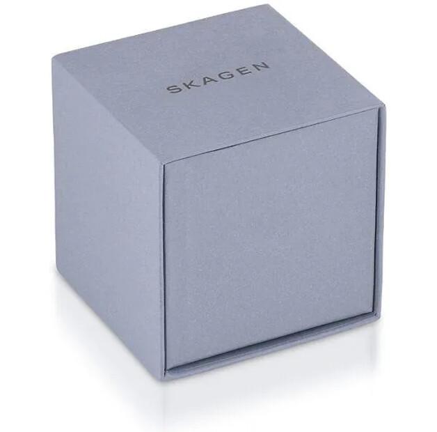 Часы Skagen SKW2149