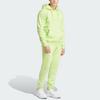 Adidas Толстовка с капюшоном Trefoil Essentials Pulse Lime для мужчин в уличном стиле IM4533