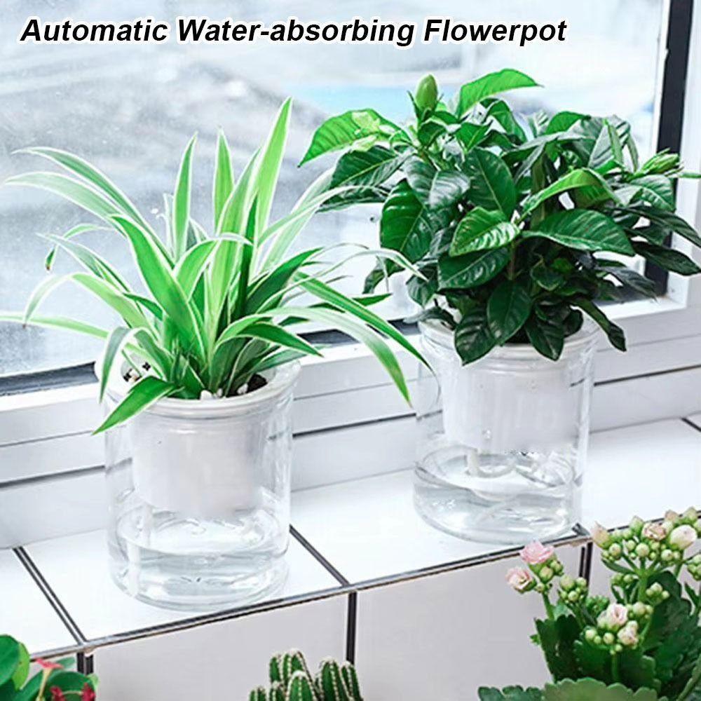 1Pcs Self Watering Hydroponic Planter for Green Dill Succulents Travel Essentials