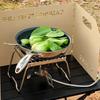 Windproof Wind Blocker Portable Tri-Fold Gas Cover Camping Stove Windscreen  Outdoor Cooking