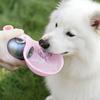 Сферическая бутылка для воды для собак, портативный диспенсер для воды для домашних животных, герметичная бутылка из нержавеющей стали со складной силиконовой миской для собак, для путешествий, прогулок на природе