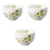 Setomonohonpo Set of 3 Flower and Plant Design Bowls X Ceramic Bowls (Setomonohonpo) [10.2 7cm]