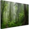 Canvas Print, Tropical Jungle Forest
