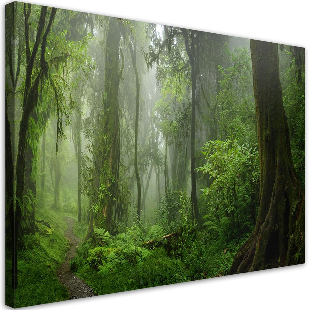Canvas Print, Tropical Jungle Forest