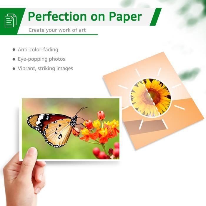 Чернильный картридж - GREENSKY - 604XL - Упаковка из 12 штук - Совместим с EPSON - Ресурс до 500 страниц