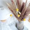 Nordic Style Mixed Dried Flower Bouquets with Reeds, Dusters, Golden Balls, and Lagurus Ornaments for Home Decor.