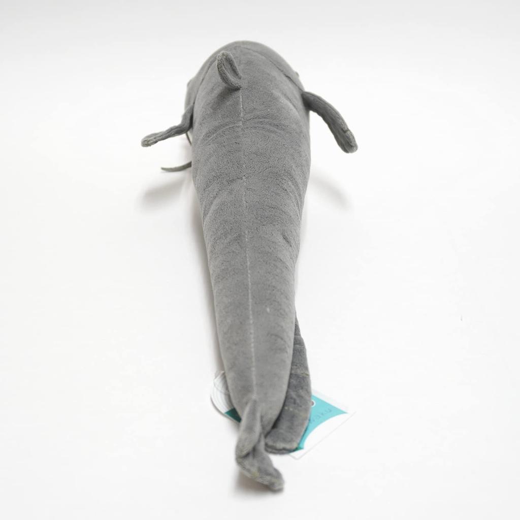 Exciting Picture Book - Freshwater Creatures Stuffed Animal (Catfish)