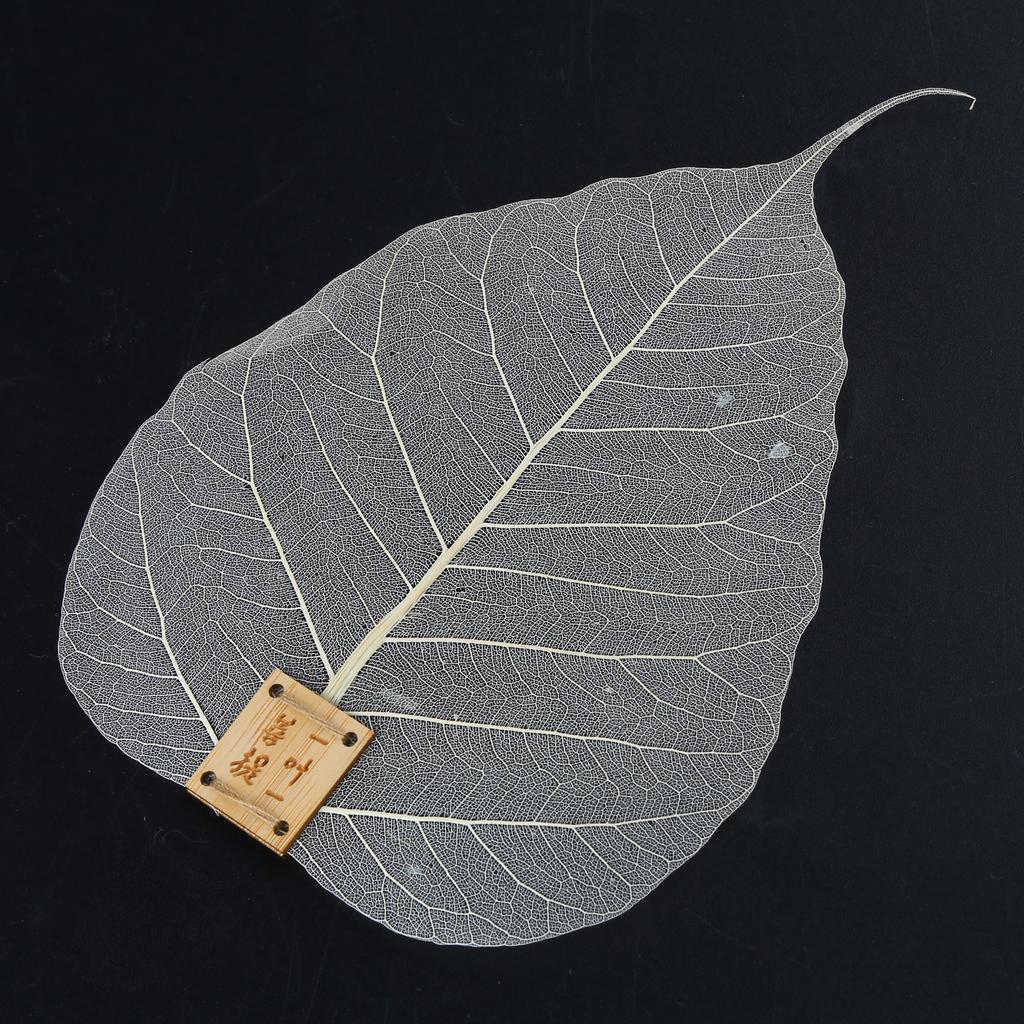 Натуральный чайный фильтр с листьями Bodhis, сетка для чая, ситечко для заварки, чайная посуда, аксессуары для утечки чая для кунг-фу, травы, специи