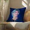 S-Strayskidssf-Felixs Pillow Case Pillowcase, Double-Sided Printed, Sofa Cushion, Bedroom Headboard