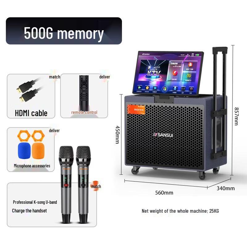 SANSUI PE Series Portable Outdoor KTV Audio System with 21" Display CN plug (adapter included)