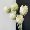 Стебель искусственного цветка Королевская протея, Nordic Thistle Display, Декор для дома и свадьбы