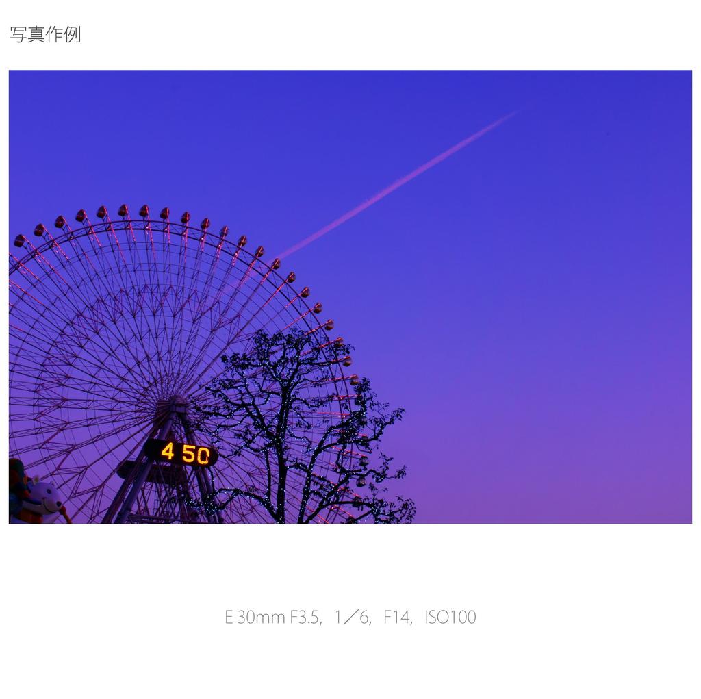 Sony Single Focus Lens E 30mm Macro for Sony E Mount Only SEL30M35 F3.5 APS-C