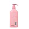 Syoss Peach Blossom Moisturizing Hair Conditioner 420ml x 5 Bottles