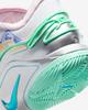 FZ1098-100 Nike LeBron 22 Валюта (FZ1099-100/FZ1098-100) (Мужской)
