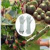 Stab Proof Horticultural Gloves Anti Insect Bite Gardening Gloves  Outdoor Operation