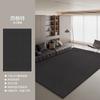Large Living Room Carpet Washable Waterproof Minimalist Luxury Home Rug for Sofa Bedroom