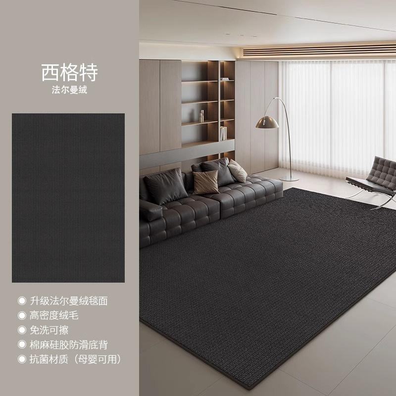 Large Living Room Carpet Washable Waterproof Minimalist Luxury Home Rug for Sofa Bedroom
