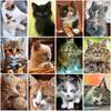 5D DIY Diamond Painting Cat Full Round Drill Animal Diamond Embroidery Rhinestone Mosaic Craft Cross Stitch Wall Art Home Decor