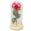 Rose In Glass Dome Lucky Beautiful Symbolism Romantic Enchanted Rose Romantic Gifts with LED Light
