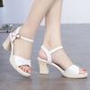 Women Fashion Black Comfort Summer Hollow Open Toe Square Heel Shoes Lady Spring Buckle Strap Open Toe Heels A9511
