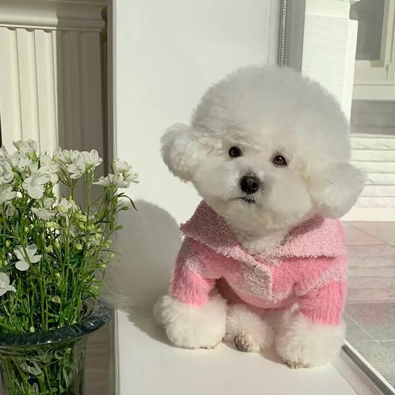 Pet Sweater Autumn Dog Clothes Teddy Yorkshire Cat Bichon Poodle Small Dog Anti-shedding Autumn And Winter Clothing