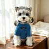 Winter Warm Pet Base Layer Two-Legged Design Pet Sweatshirt Simple Dog Pullover  For Teddy Dogs
