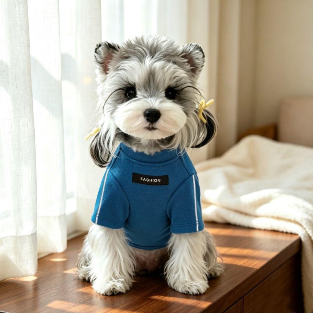 Winter Warm Pet Base Layer Two-Legged Design Pet Sweatshirt Simple Dog Pullover For Teddy Dogs