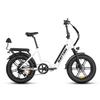 RATTAN LF PRO Versatile City E-Bike 750W Motor 48V18AH Battery 20*4 Inch Fat Tires Urban Commuting Electric Scooter For Adult With TowSeat