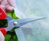 TG71978 NET SUPPORT FOR CLIMBING PLANTS LADDER SUPPORT 0.9x2.7M